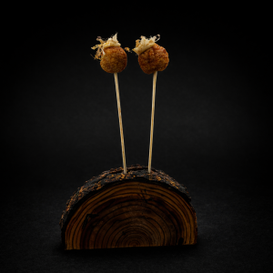 sushi Mont Tremblant